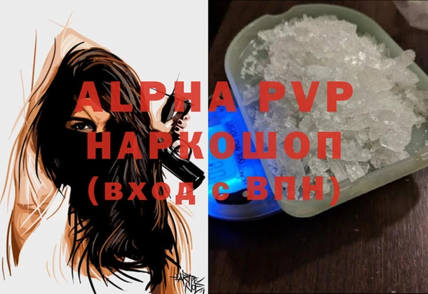 спиды Ростов