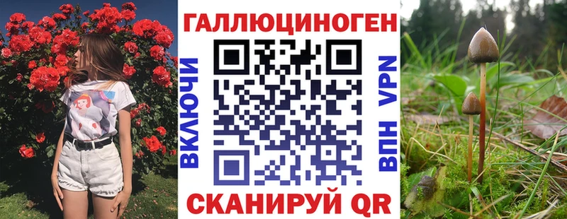 кракен маркетплейс  что такое наркотик  Елабуга  Псилоцибиновые грибы GOLDEN TEACHER 