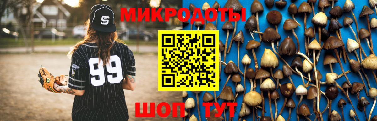 Псилоцибиновые грибы GOLDEN TEACHER Елабуга
