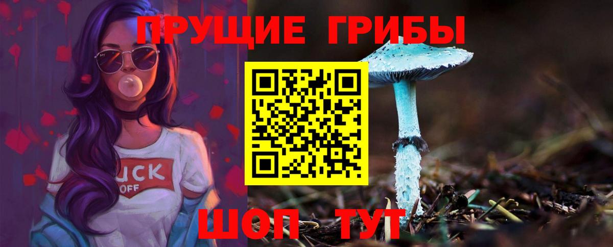 Галлюциногенные грибы Psilocybine cubensis  Вход с VPN  Елабуга 